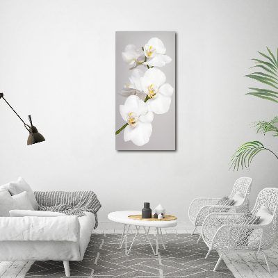 Cuadro canvas decorativo para salón vertical Orquídea blanca