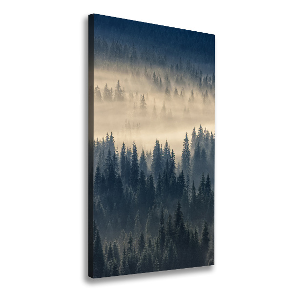 Cuadro moderno en lienzo resistente uv vertical Niebla sobre el bosque