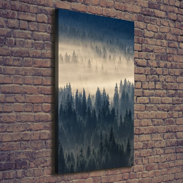 Cuadro moderno en lienzo resistente uv vertical Niebla sobre el bosque