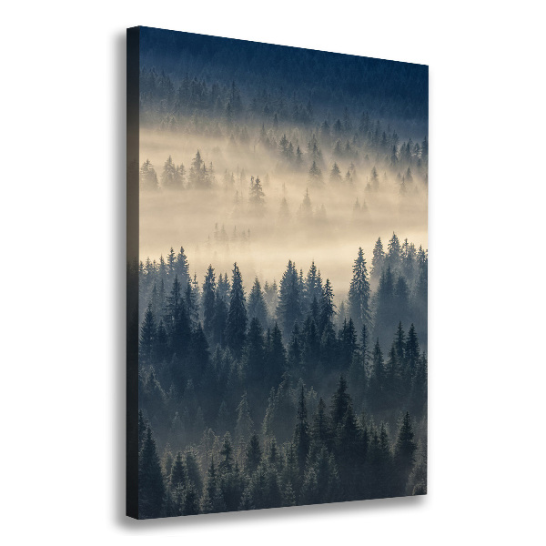 Cuadro moderno en lienzo resistente uv vertical Niebla sobre el bosque