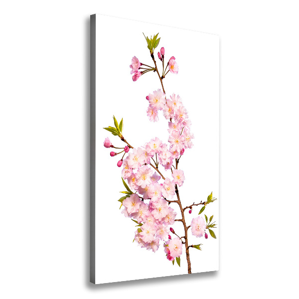 Fotografía en lienzo vertical flores de cerezo