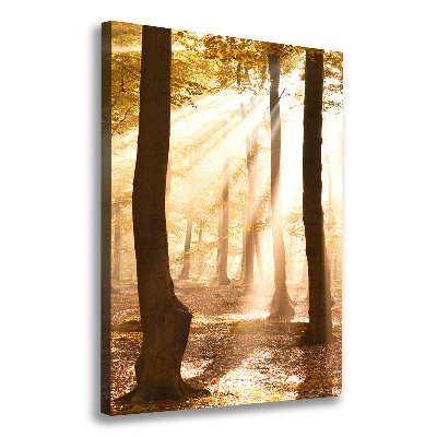 Fotografía en lienzo vertical Bosque en otoño