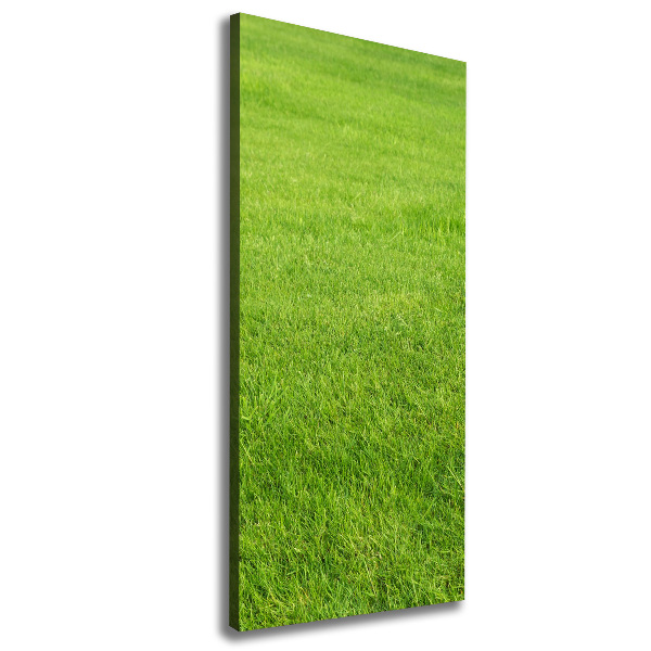 Cuadro canvas decorativo para salón vertical Hierba verde
