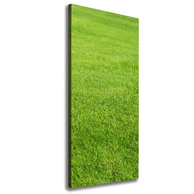 Cuadro canvas decorativo para salón vertical Hierba verde