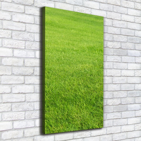 Cuadro canvas decorativo para salón vertical Hierba verde