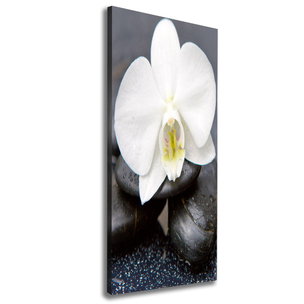Cuadro canvas decorativo para salón vertical Orquídea y piedras