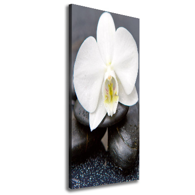 Cuadro canvas decorativo para salón vertical Orquídea y piedras
