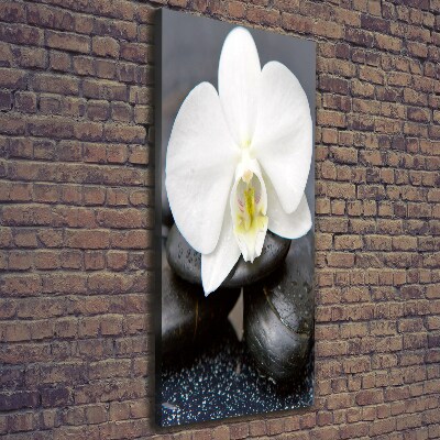 Cuadro canvas decorativo para salón vertical Orquídea y piedras