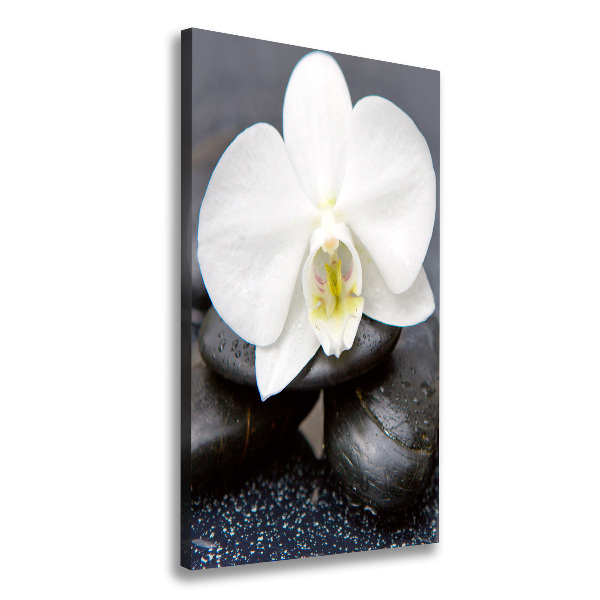 Cuadro canvas decorativo para salón vertical Orquídea y piedras