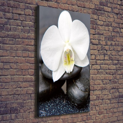 Cuadro canvas decorativo para salón vertical Orquídea y piedras