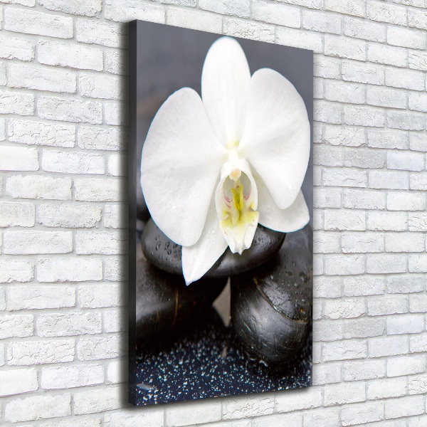 Cuadro canvas decorativo para salón vertical Orquídea y piedras
