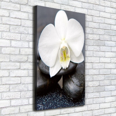 Cuadro canvas decorativo para salón vertical Orquídea y piedras