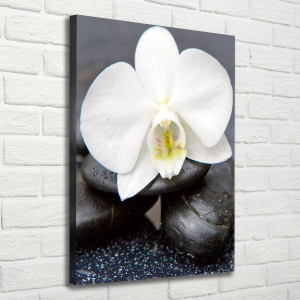 Cuadro canvas decorativo para salón vertical Orquídea y piedras