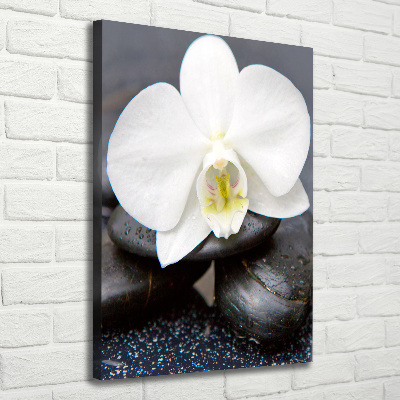 Cuadro canvas decorativo para salón vertical Orquídea y piedras