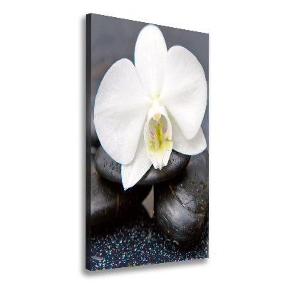 Cuadro canvas decorativo para salón vertical Orquídea y piedras