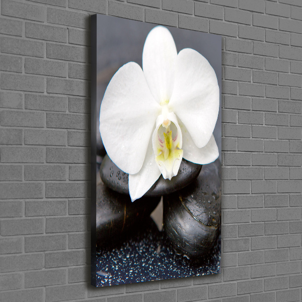 Cuadro canvas decorativo para salón vertical Orquídea y piedras