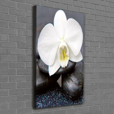 Cuadro canvas decorativo para salón vertical Orquídea y piedras