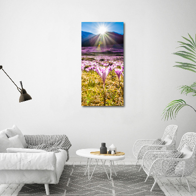 Fotografía en lienzo vertical Azafranes en las montañas