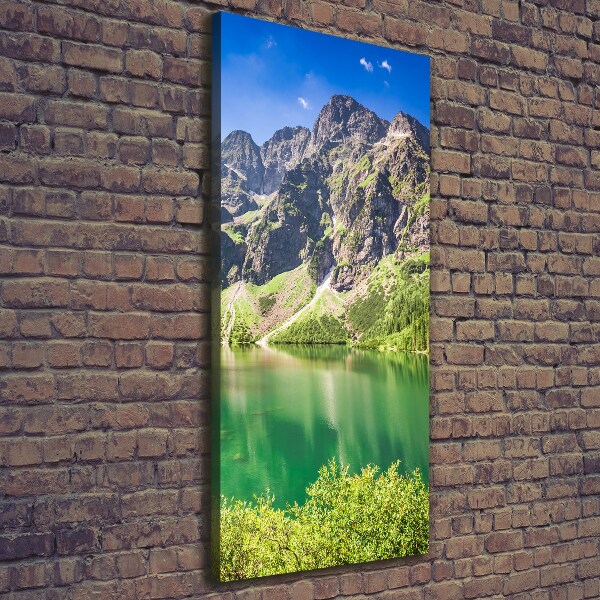 Cuadro canvas decorativo para salón vertical El ojo de mar de los montes Tatra