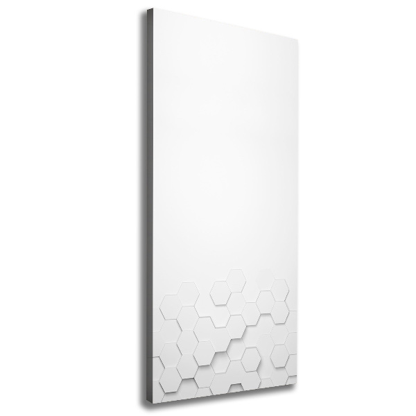 Cuadro canvas decorativo para salón vertical Fondo de hexágonos