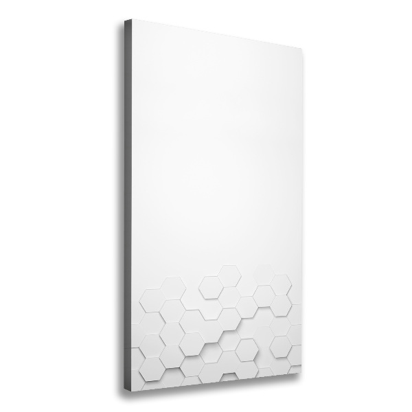 Cuadro canvas decorativo para salón vertical Fondo de hexágonos