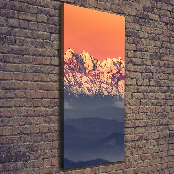 Cuadro canvas decorativo para salón vertical Panorama de los montes Tatra