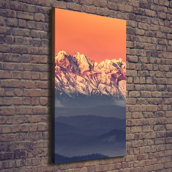 Cuadro canvas decorativo para salón vertical Panorama de los montes Tatra