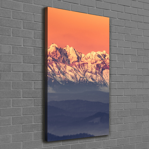 Cuadro canvas decorativo para salón vertical Panorama de los montes Tatra