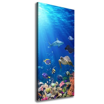Cuadro moderno en lienzo resistente uv vertical Arrecife de coral
