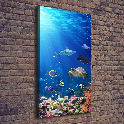 Cuadro moderno en lienzo resistente uv vertical Arrecife de coral