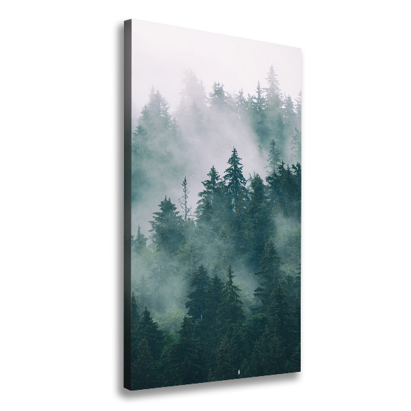 Cuadro canvas decorativo para salón vertical Niebla sobre el bosque