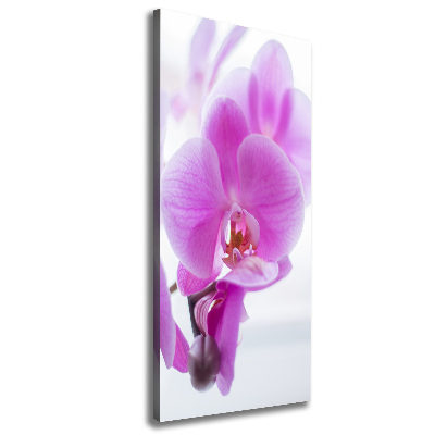 Cuadro moderno en lienzo resistente uv vertical Orquídea rosa