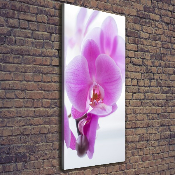Cuadro moderno en lienzo resistente uv vertical Orquídea rosa