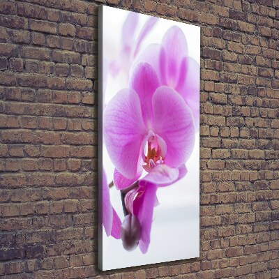 Cuadro moderno en lienzo resistente uv vertical Orquídea rosa