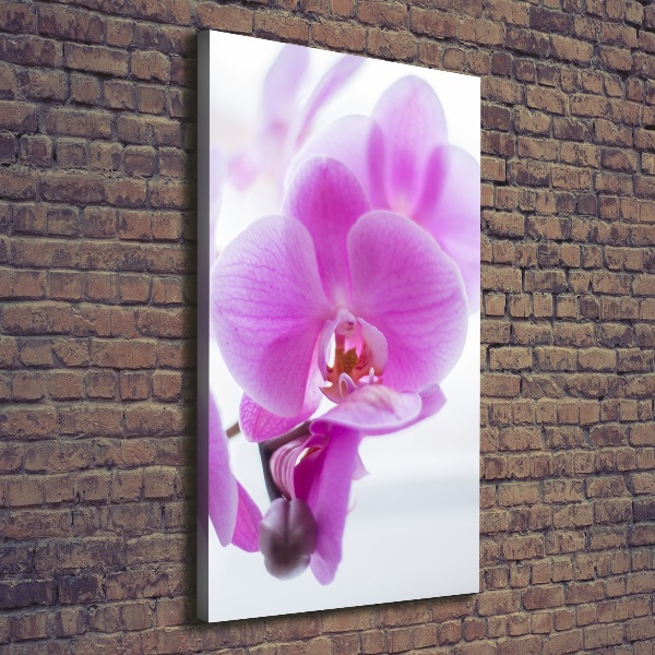 Cuadro moderno en lienzo resistente uv vertical Orquídea rosa