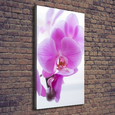 Cuadro moderno en lienzo resistente uv vertical Orquídea rosa