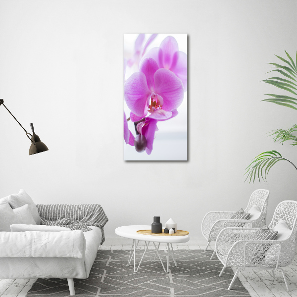 Cuadro moderno en lienzo resistente uv vertical Orquídea rosa