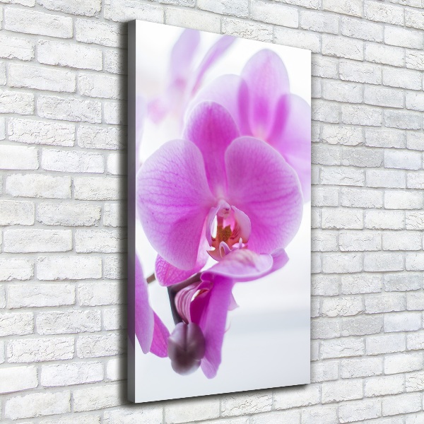Cuadro moderno en lienzo resistente uv vertical Orquídea rosa