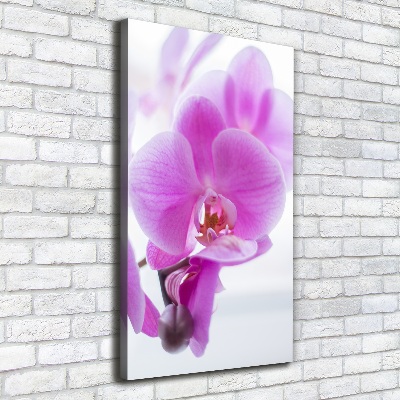 Cuadro moderno en lienzo resistente uv vertical Orquídea rosa