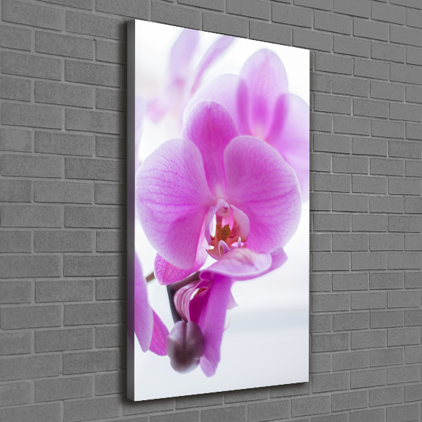 Cuadro moderno en lienzo resistente uv vertical Orquídea rosa