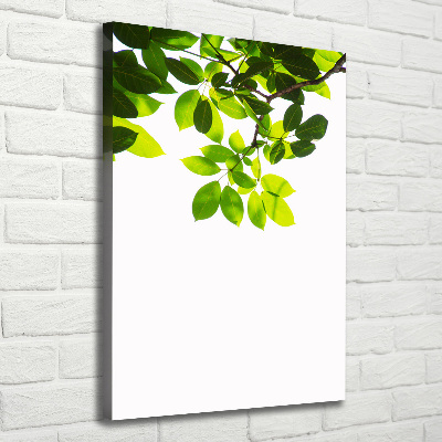 Impresión en lienzo vertical hojas verdes