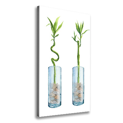 Fotografía en lienzo vertical Bambú en una maceta
