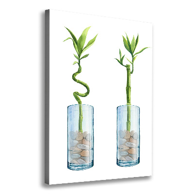 Fotografía en lienzo vertical Bambú en una maceta