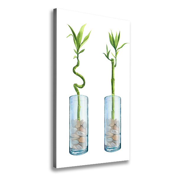 Fotografía en lienzo vertical Bambú en una maceta