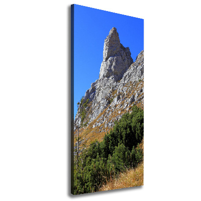 Cuadro canvas decorativo para salón vertical Pequeños montes Tatra de Giewont