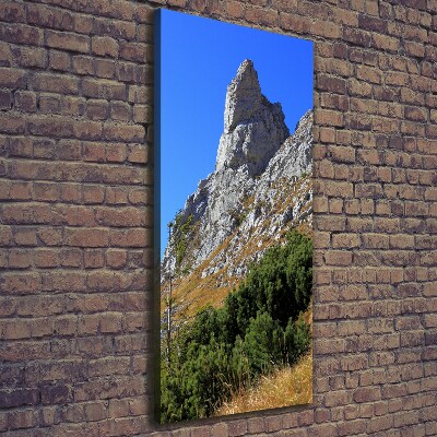 Cuadro canvas decorativo para salón vertical Pequeños montes Tatra de Giewont
