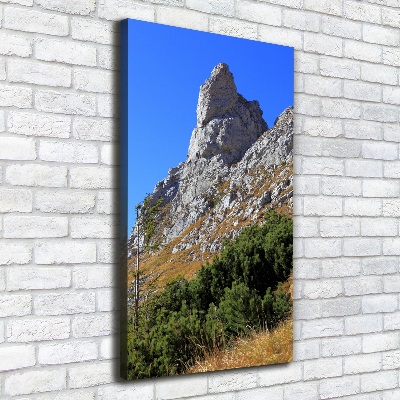 Cuadro canvas decorativo para salón vertical Pequeños montes Tatra de Giewont