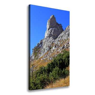 Cuadro canvas decorativo para salón vertical Pequeños montes Tatra de Giewont
