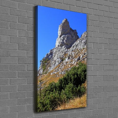 Cuadro canvas decorativo para salón vertical Pequeños montes Tatra de Giewont