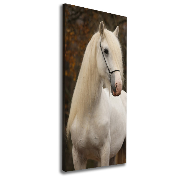 Cuadro moderno en lienzo resistente uv vertical Caballo blanco